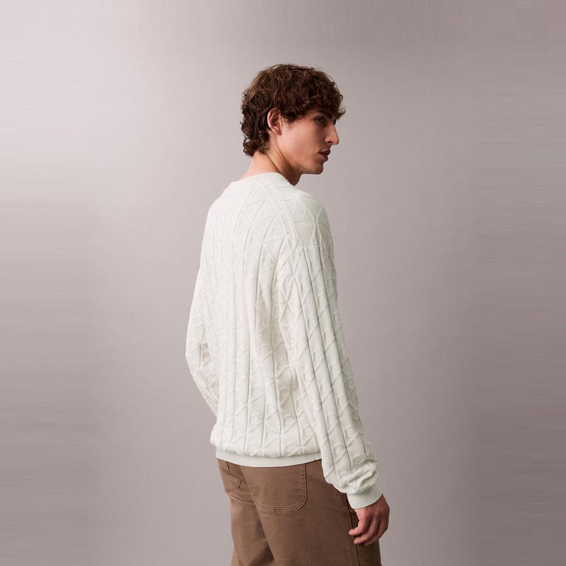 Calvin Klein Jacquard Texture Casual Cotton Crew Neck Sweater Men Sweater 4RE301G