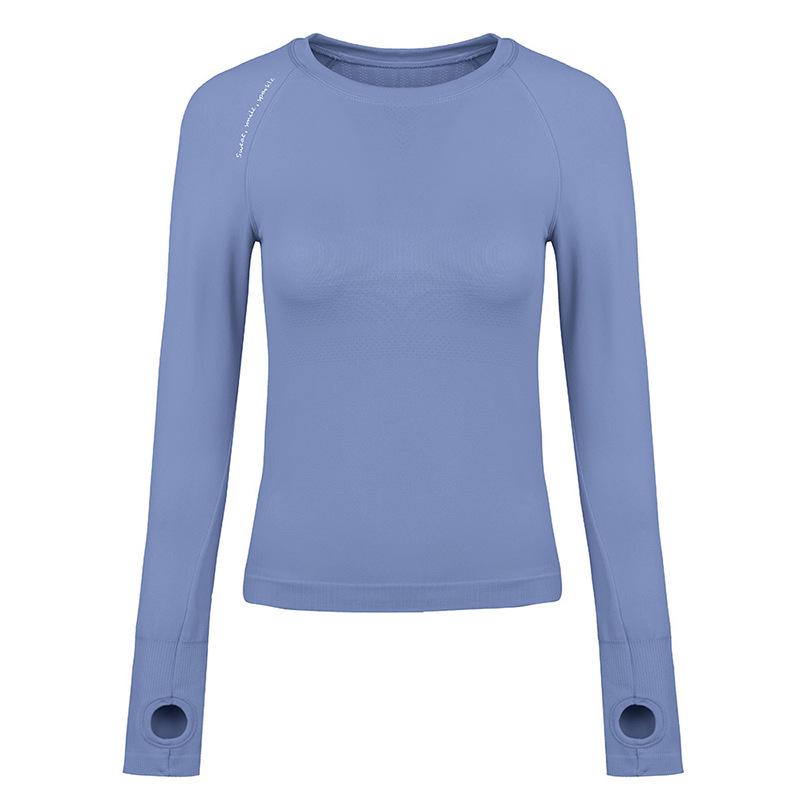 Women's Quick-Dry Long Sleeve Yoga Top - Breathable, Round Neck, Autumn/Winter Fitness Wear