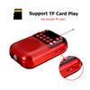 5W Channel Mini Speaker Radio-Receiver Tf-Card Fm-Radio Stereo Digital Micro Portable Power Off Memory