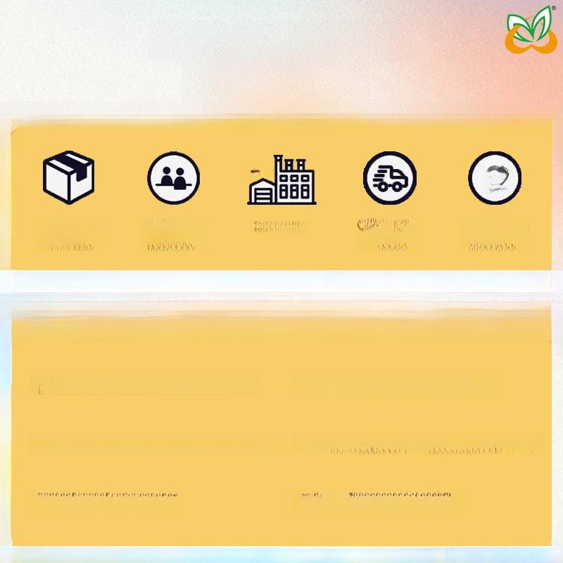 Waterproof Cartoon Princess Tattoo Set - Mermaid Theme for Kids