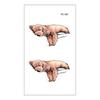 Waterproof Long-lasting Cute Peacock Feather Temporary Tattoo Stickers for Women