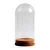 DIY Glass Dome Cloche Holder for Microlandscape and Home Display