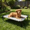 Moisture Proof Dog Marching Bed Breathable Elevated Pet Bed Cat Sleeping Bed  Indoor Outdoor