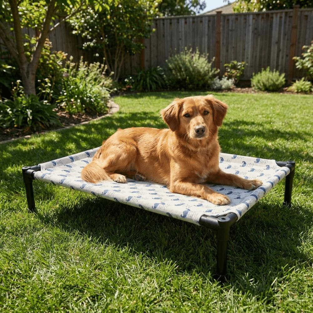 Moisture Proof Dog Marching Bed Breathable Elevated Pet Bed Cat Sleeping Bed  Indoor Outdoor