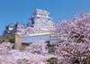 YANOMAN In Jigsaw Himeji Castle with the Fragrance of Cherry Blossoms Includes and Piece Request Postcard (Yanoman) [Made Japan] 500-Piece Puzzle