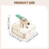 Rotating Colorful Lights Model Kit Educational Hand On Learning Physics Project Wood Science