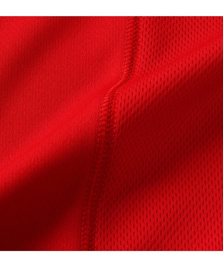 Phiten RAKU SPORTS Dry Mesh Short Sleeve T-Shirt (Plus Size)
