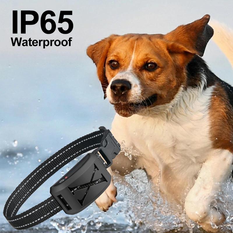 Rechargeable Waterproof Dog Training Collar with Bark Control & Remote