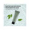 Benton Deep Green Tea Natural Face Wash (120g) - Hydrating And Gentle Facial Cleanser For Various Skin Types, Korean Foaming Facial Cleanser