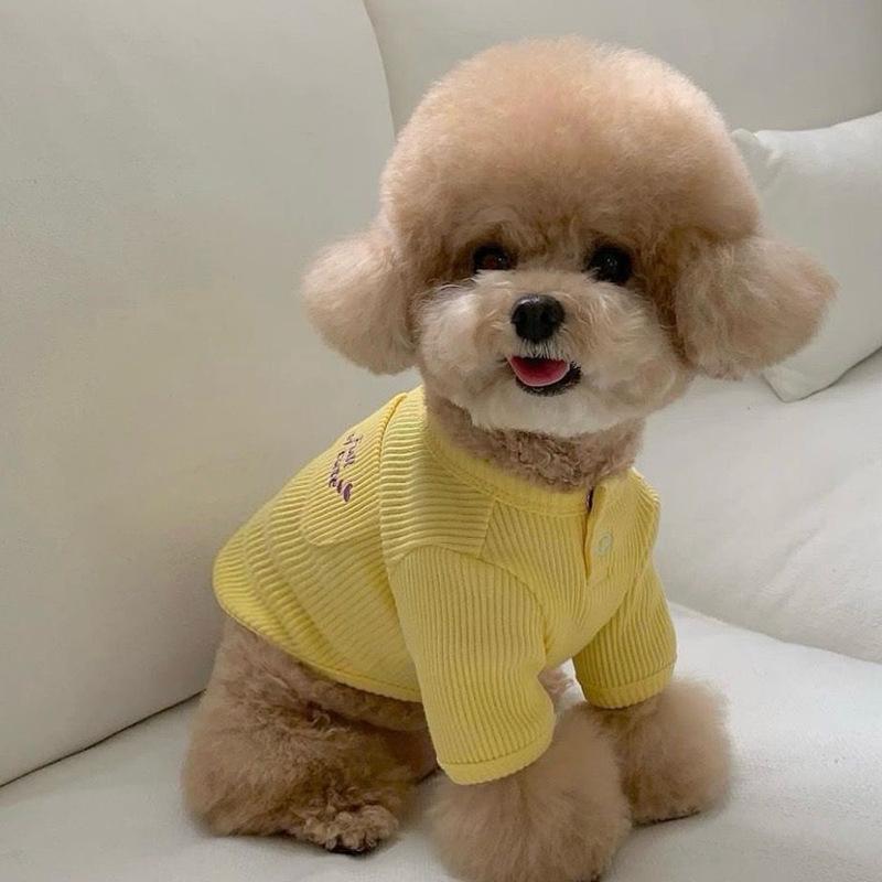 Autumn pet Teddy Bichon Pomeranian Maltese Yorkshire terrier small dog dog clothes autumn