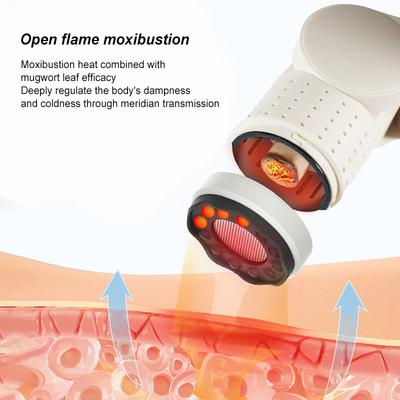 Multi Functional Handheld Moxibustion Stick Set with Bianshi Moxibustion Device for Beauty and Massage Moxibustion Gua Sha Spa