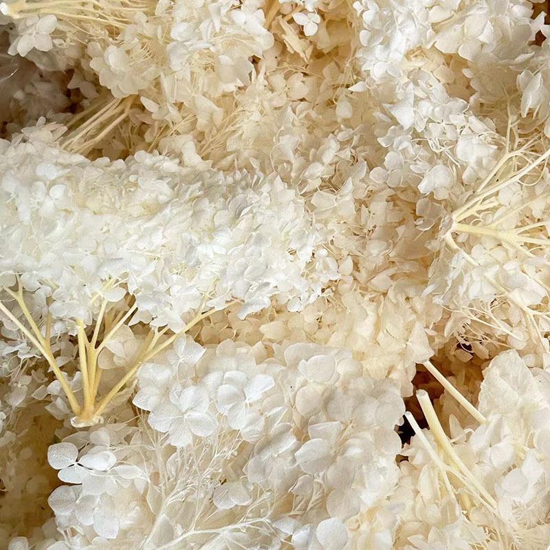 

Массовая Анна Гортензия Бессмертный Цветок, Взвешенные Лепестки Гортензии Материалы Ручной Работы Декоративные Подарки Аксессуары Сухоцветы Своими Руками 5G in bags белый