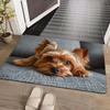 Non-Slip Home Decor Carpet Easy To Clean Cartoon Carpet Funny Cat Puppy Printed Mat Bedrooms