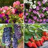 Fertilizzante per Piante da Giardino e Fattoria 20ml Necessario per la Crescita delle Piante 920 Regolatore di Crescita per Piante Utile Accessorio per Giardinieri