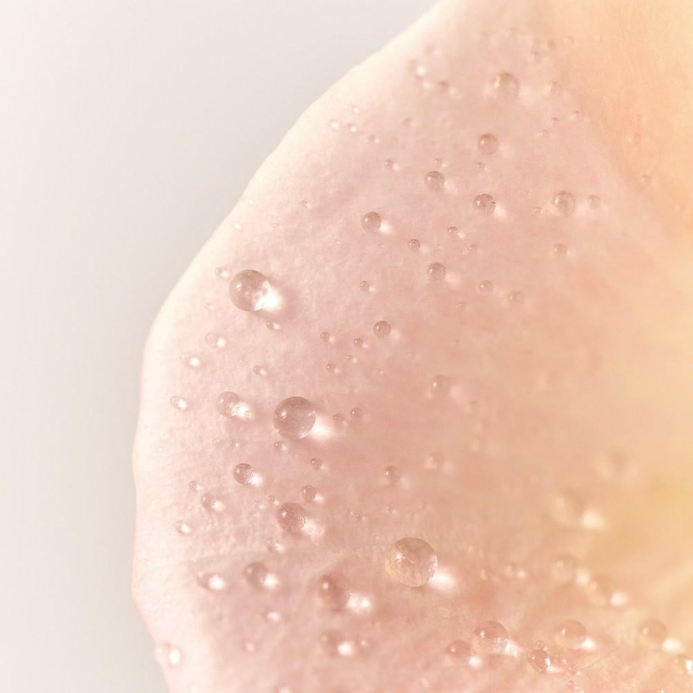 Bananal Perfumed Hair and Body Mist, White Floral Musk, 125ml