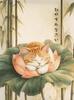 Japanese Black Cat Bathing Moon Lucky Cat Cartoon Illustration Retro Diamond Paintings Wall Art Pictures Home Decor Gift