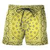 Europe and America Style Graphic Printed Men's Beach Shorts 3D Printing For Men's Outdoor Casual Shorts Men's and Women's Shorts
