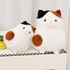 Non-Toxic Kawaii Animal Round Cat Plush Toys Chubby Creative Cats Dolls Cute Birthday Gifts Room Decoration