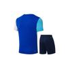 Li Ning Badminton Series Striped Quick-Dry Breathable Short Sleeve Solid Color Shorts Casual Sports Set Men Sports Set AATT033-2