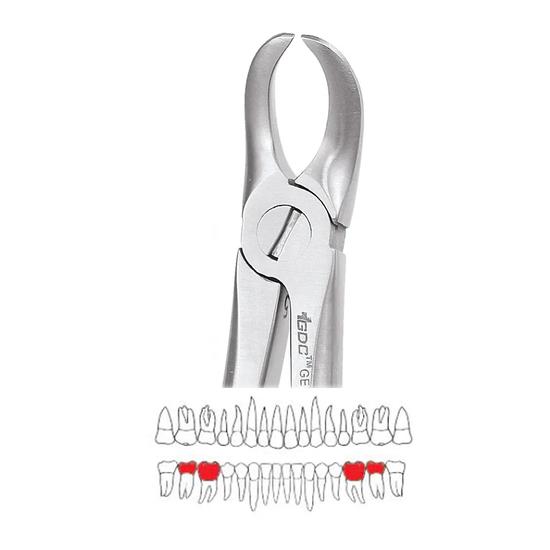 GDC Extraction Forceps Lower Molars - 87 Standard (FX87S)