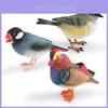 Realistic Decorative Animal Model Set Featuring Colorful Duck Sparrow Finch And Tit For Home And Office Display