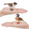 Simulation Of Birds, Birds, Animal Models, Mandarin Ducks, Sparrows, Mundane Tits, Desktop Static Ornaments, Toys