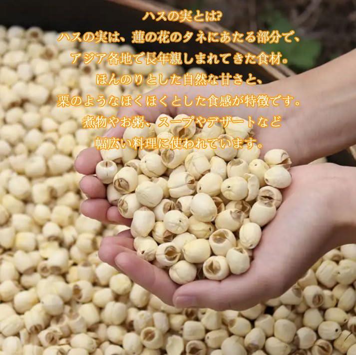 Suminaga Lotus Seeds Raw Made in Jianning 250g Medicinal Culinary Additive-Free