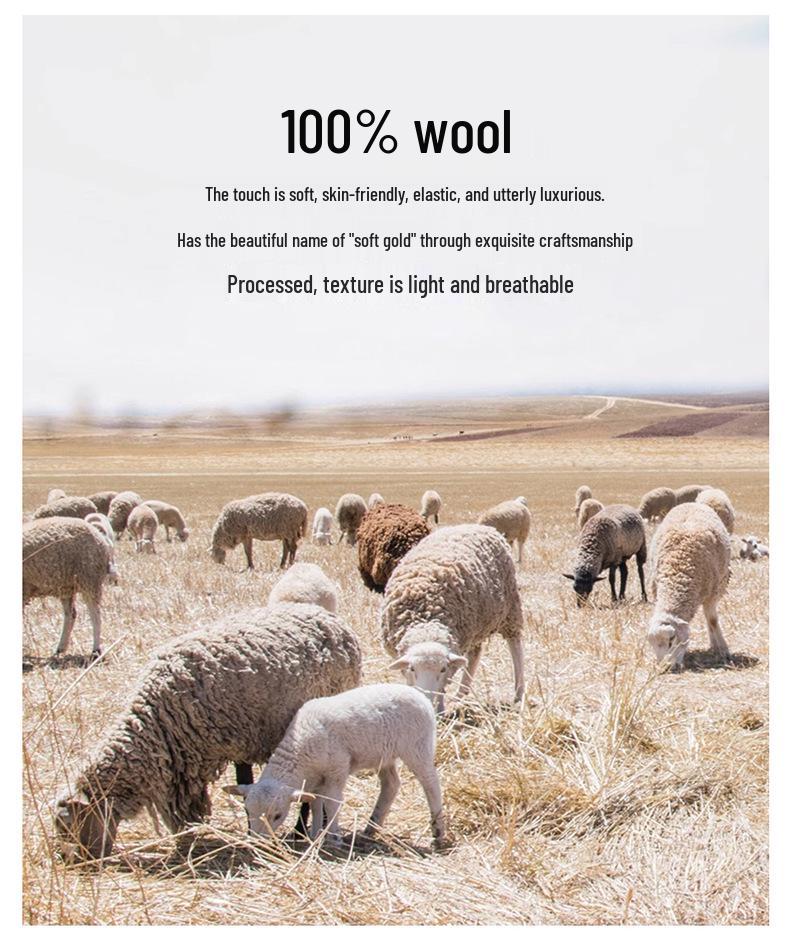 Men's 100% Australian Wool Round Neck Sweater - Casual Business Knitwear for Autumn/Winter