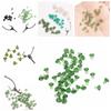 50Pcs Screw Chod Rigs Fishing Hook Beads PVC Fishing Hook Stops  Fishing Accessories