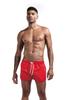 Men's Multicolor Polyester Running and Beach Shorts