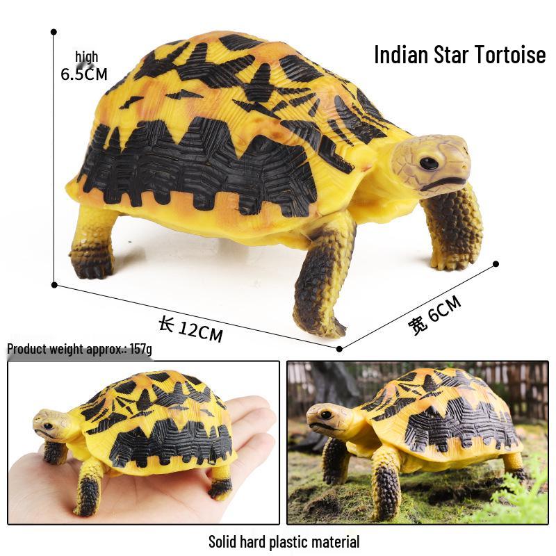 Children's Cognitive Marine Animal Models: Sea Turtle and Tortoise Toys
