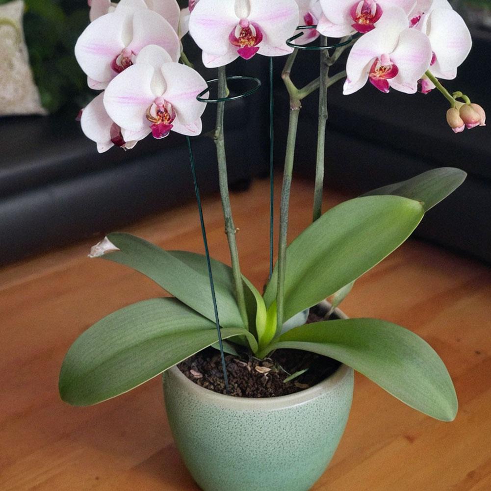 10PCS Iron Plant Support Deformable Plant Scaffold for Garden Plants Accessorie Greenhouses Arrangement Fixing Rod Holder