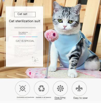 Kedi – Kedi bakım ürünleri