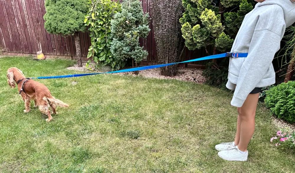Dog Leash with Shock Absorber 280cm BLUE Adjustable Sports