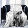 Cow Print Blanket Black and White Bed Cow Soft Sofa Comfortable Warm Blanket Plush Gift Bedroom Decoration