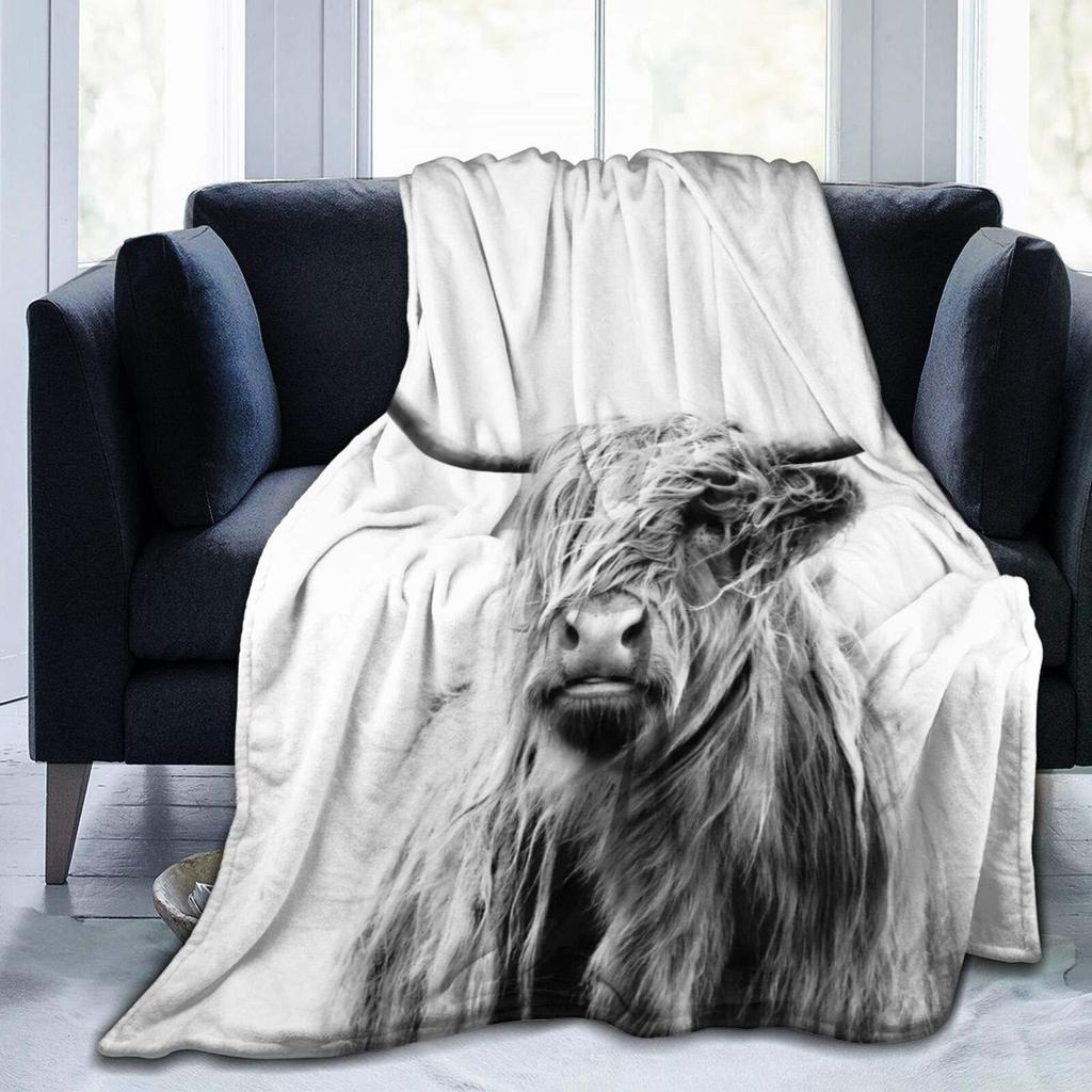Cow Print Blanket Black and White Bed Cow Soft Sofa Comfortable Warm Blanket Plush Gift Bedroom Decoration