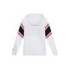 Jordan Air Sweatshirts Men's Hooded Moderate Regular BQ5655-100