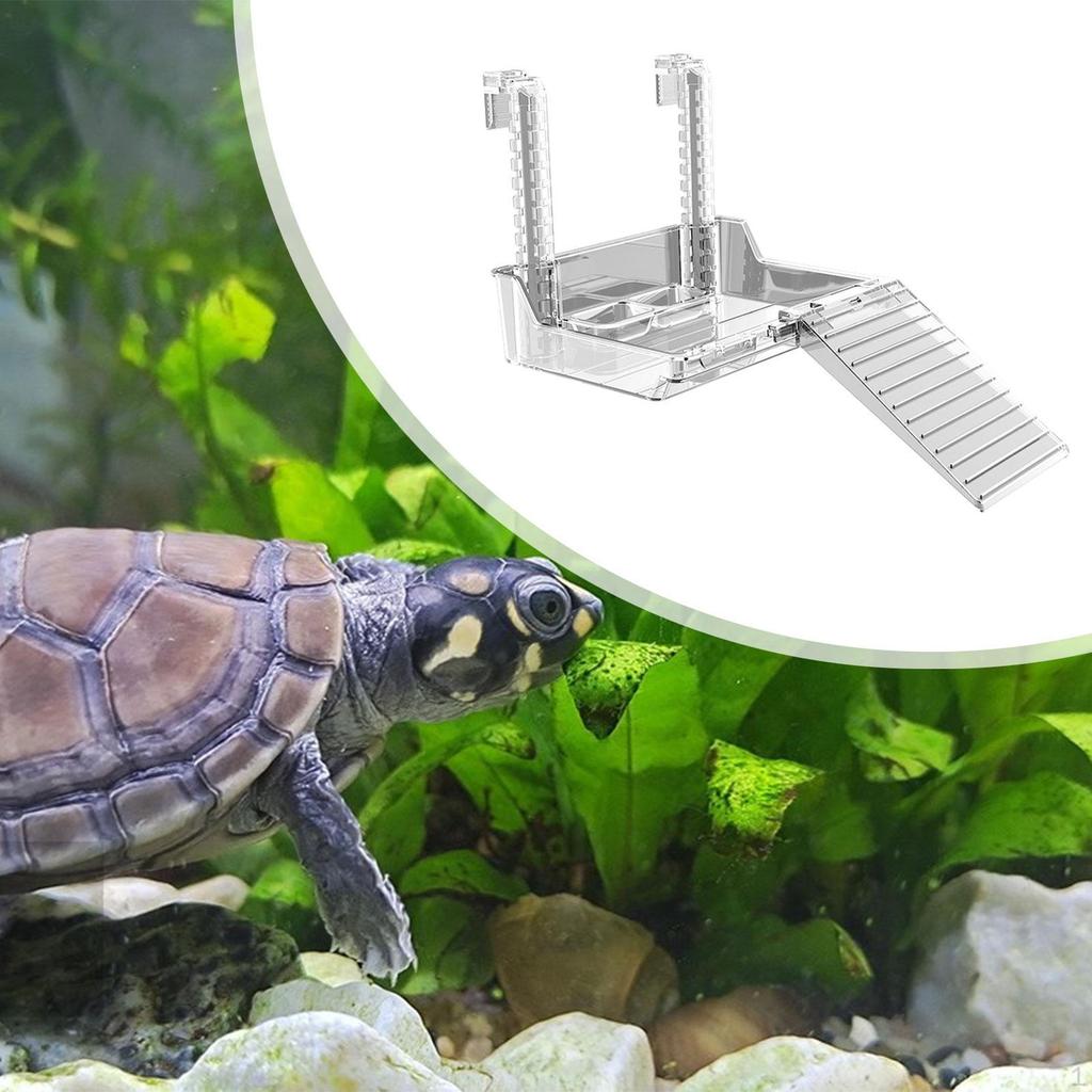 Aquatic Reptile Basking Platform Tortoise Resting Terrace Turtle Tank Accessories Tortoises Hanging