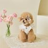 Pet Spring Dress Lace Flying Sleeve Teddy Bottom Shirt Cat T-shirt Top Puppy Clothes Dog Clothes for Small Dogs