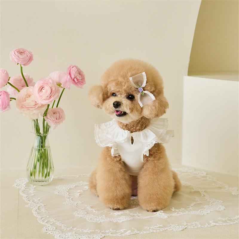 Pet Spring Dress Lace Flying Sleeve Teddy Bottom Shirt Cat T-shirt Top Puppy Clothes Dog Clothes for Small Dogs