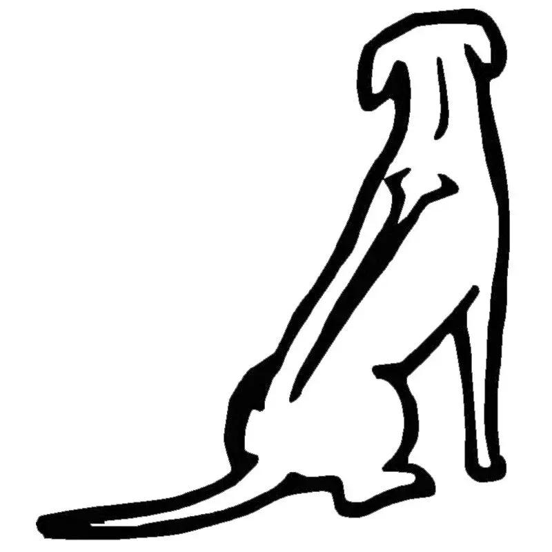 Rhodesian Ridgeback design szyba samochodowa zderzak kask motocyklowy dekoracja domu naklejka winylowa