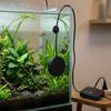 Rapid Heating Small Aquarium Heater Constant Temperature Submersible Heater  Water Heating