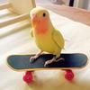 Parrot Intellectual Toy Training Props Parrot Peony Scooter Upgraded Alloy Bracket Professional Finger Skateboard