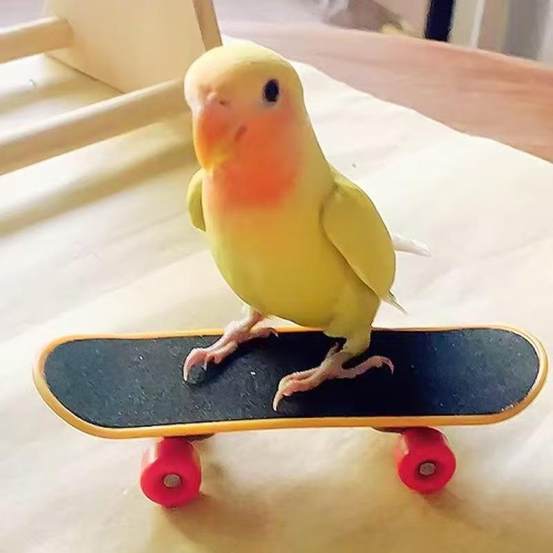 Parrot Intellectual Toy Training Props Parrot Peony Scooter Upgraded Alloy Bracket Professional Finger Skateboard