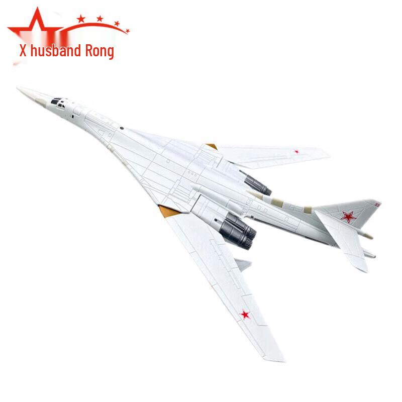 Soviet Tu-160 White Swan Bomber Model
