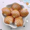 8pcs AB Resin Colorful Flower Shell Figurines Flat Back Cabochon Stone Scrapbook Home Crafts DIY Jewelry Making Accessories
