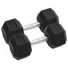 vidaXL Dumbbells 2 Pcs 12.5 Kg Total Cast Iron