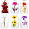 Transparent Dome Cover Diy Handmade Display Fresh Flower Petals Decoration Plastic-covered Christmas Snowman Protective Box