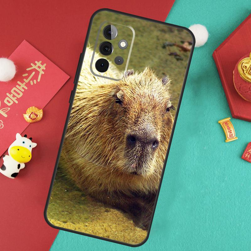 

Animal Capybara Case For Samsung Galaxy A17 A55 A35 A15 A32 A52 A13 A33 A53 A14 A34 A54 A06 A16 A26 A36 A56 Samsung A32 5G
