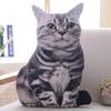 1PZ 50CM Cuscino Gatto Simulazione 3D, Morbido Cuscino Giocattolo Gatto Carino Lavabile, Giocattolo per Bambini, Cuscino per Divano, Decorazione per la Casa